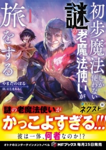 初歩魔法しか使わない謎の老魔法使いが旅をする